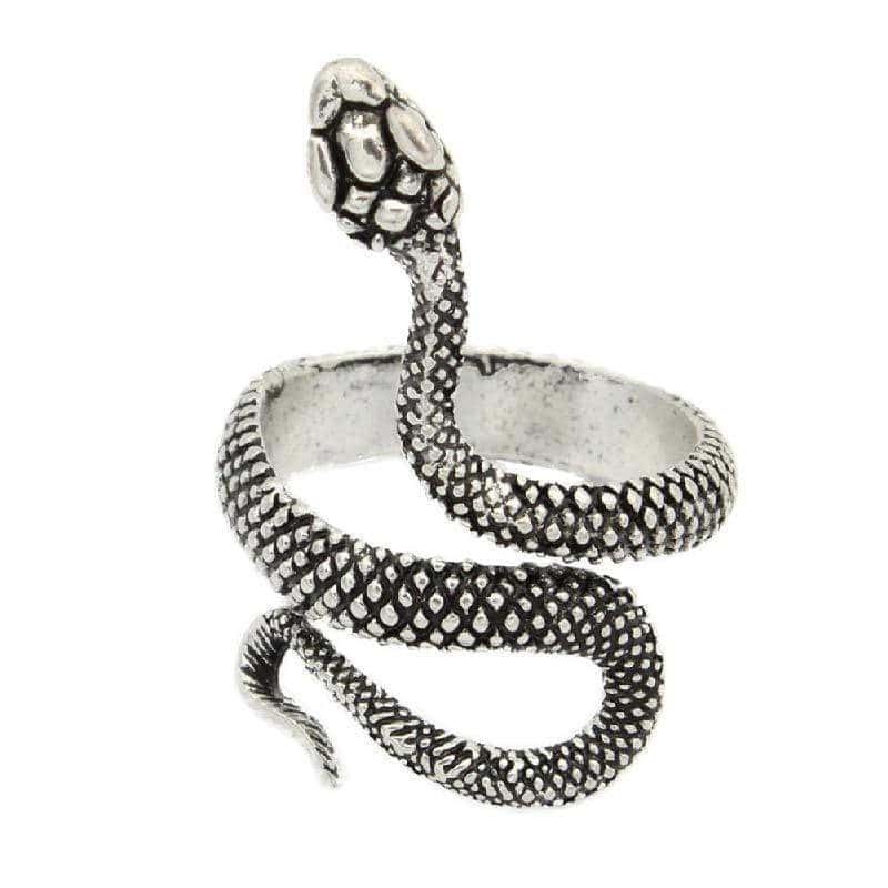 Slange Ring Symbiose (Stål)