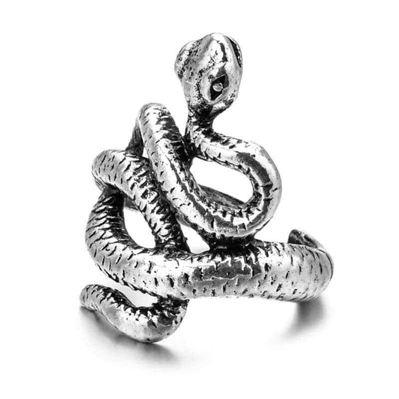 Slange Ring Sporing (Stål)