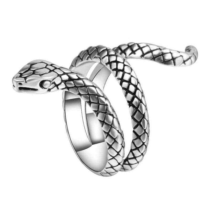 Slange Ring Konstriktion (Stål)