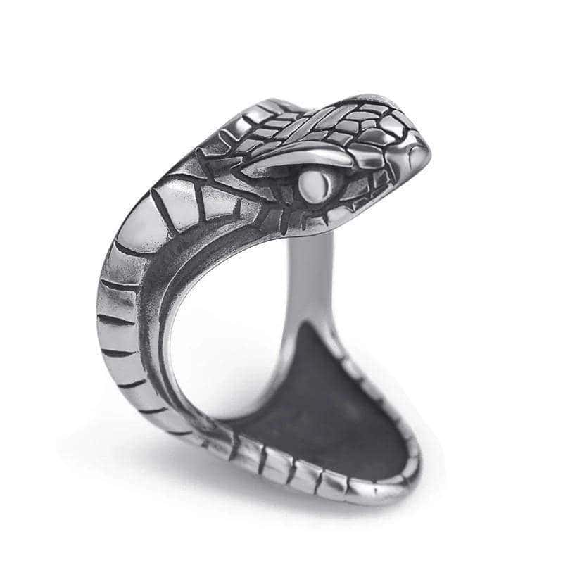 Slange Ring Slangehoved (Stål)