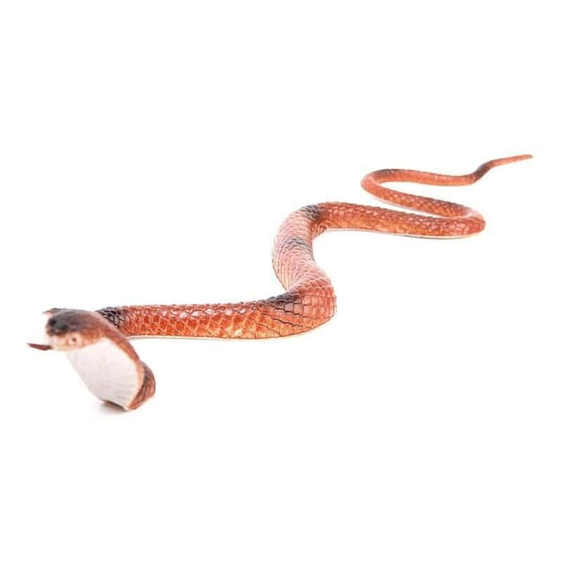 Slange Legetøj Asiatisk Cobra