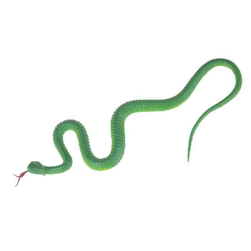 Plastikslange Trælevende