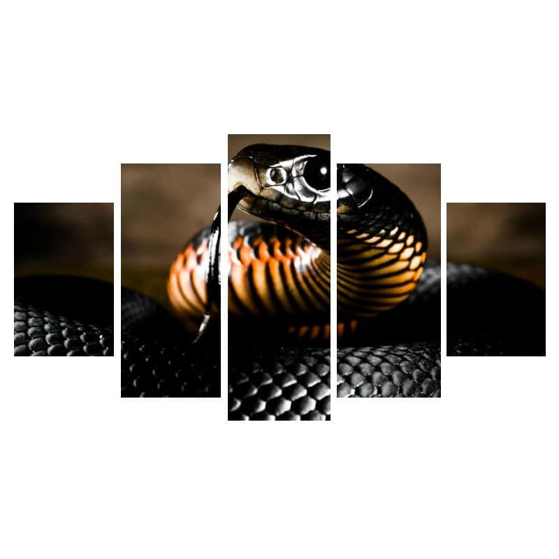 Slange Billeder Cobra